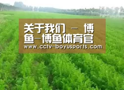 种植基地四