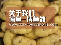 产品展示标题6