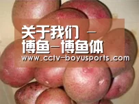 产品展示标题1