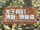 种植基地七