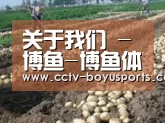 种植基地八