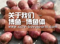 产品展示标题5(图1)
