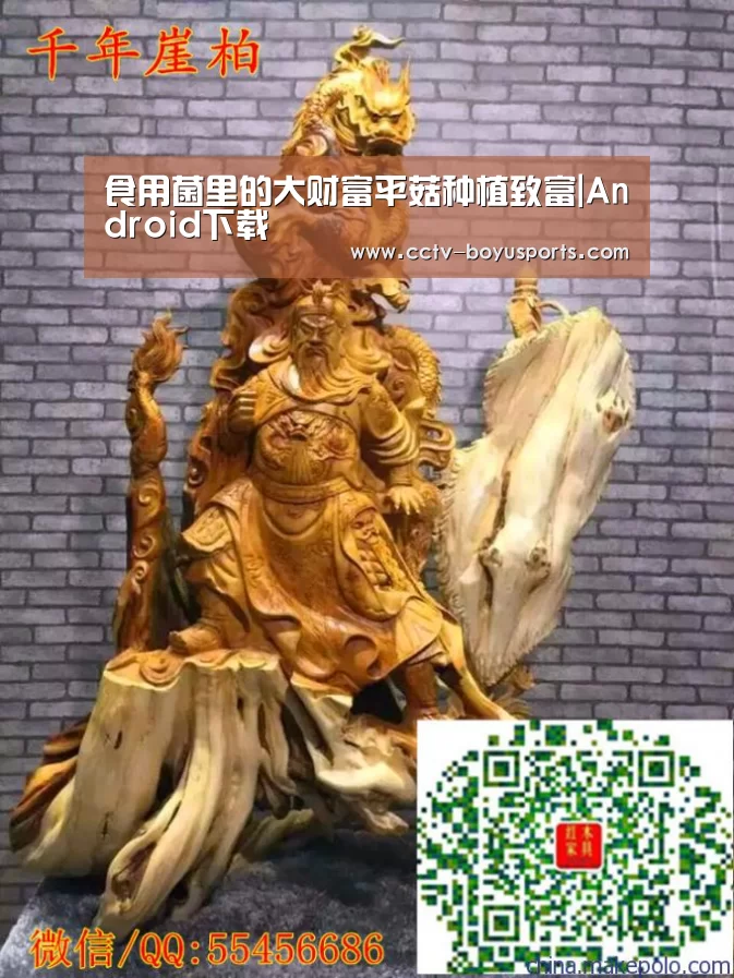 APP下载