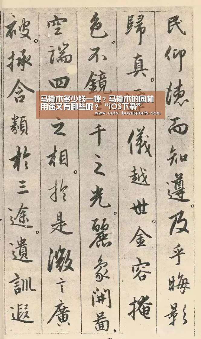 iOS下载