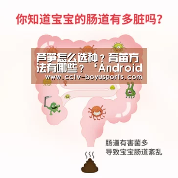 iOS下载