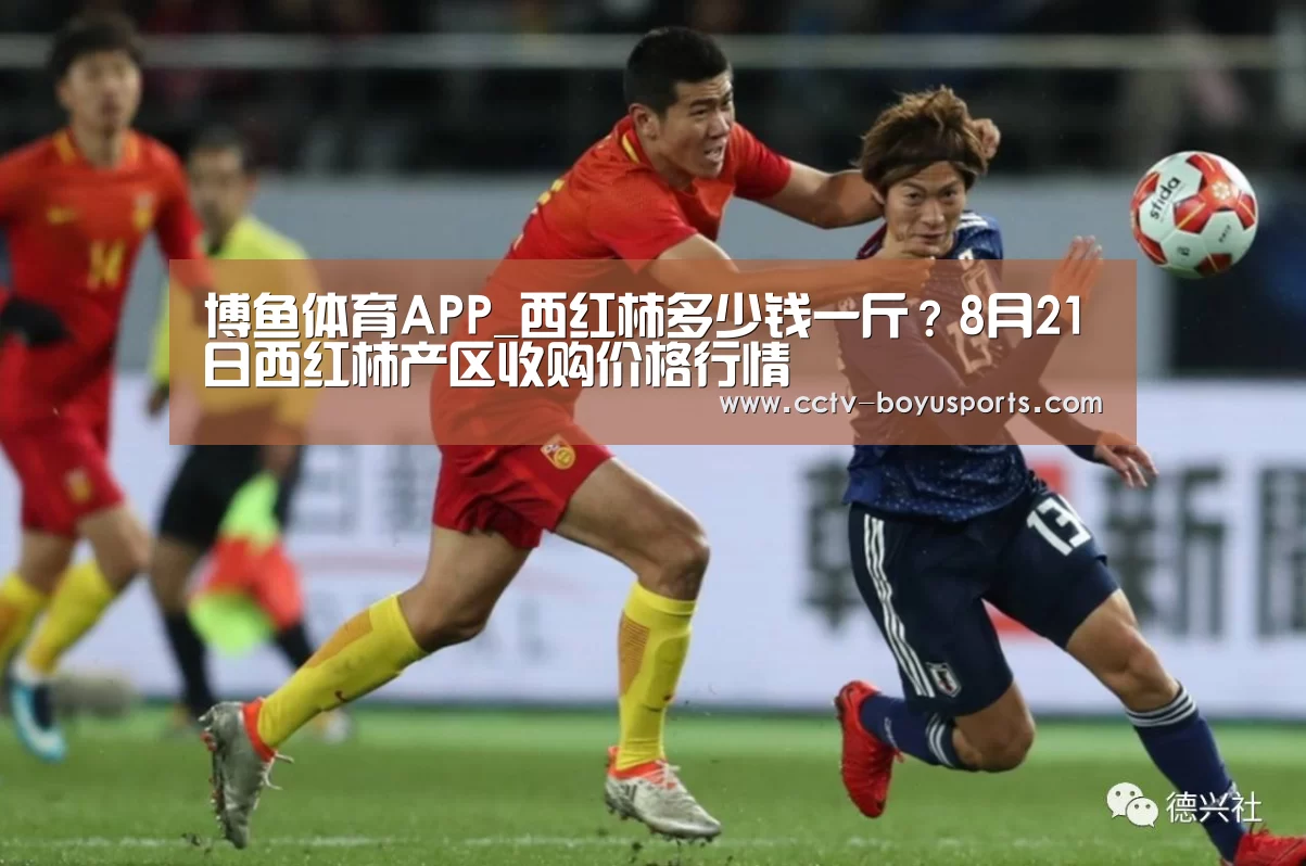 博鱼体育APP