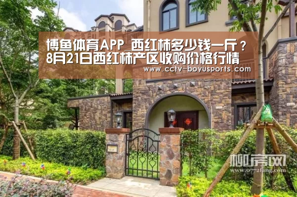 博鱼体育APP