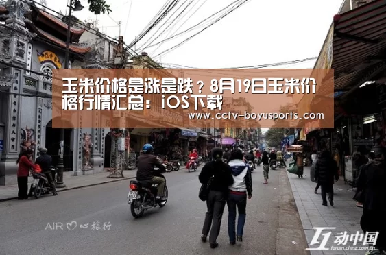 博鱼体育APP