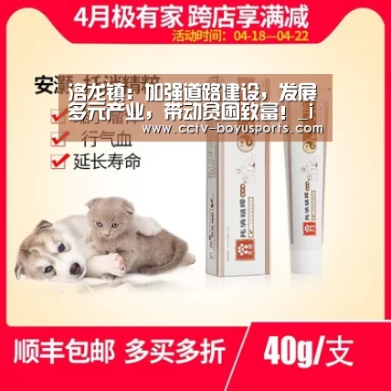 洛龙镇:加强道路建设,发展多元产业,带动贫困致富!_iOS下载(图1) 博鱼体育APP