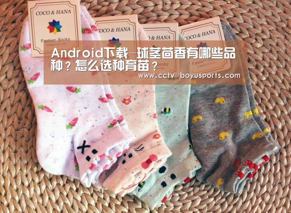 Android下载