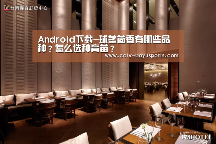 iOS下载