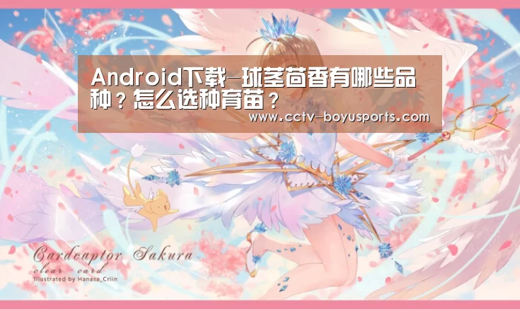 官方应用