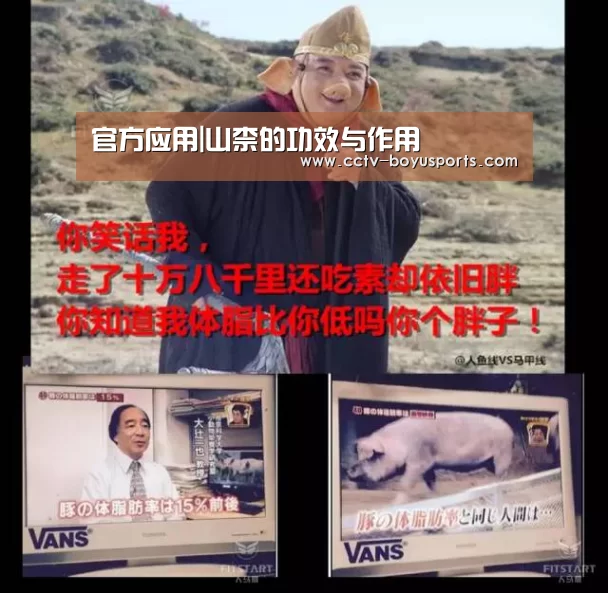 官方应用|山柰的功效与作用(图2) 官方应用