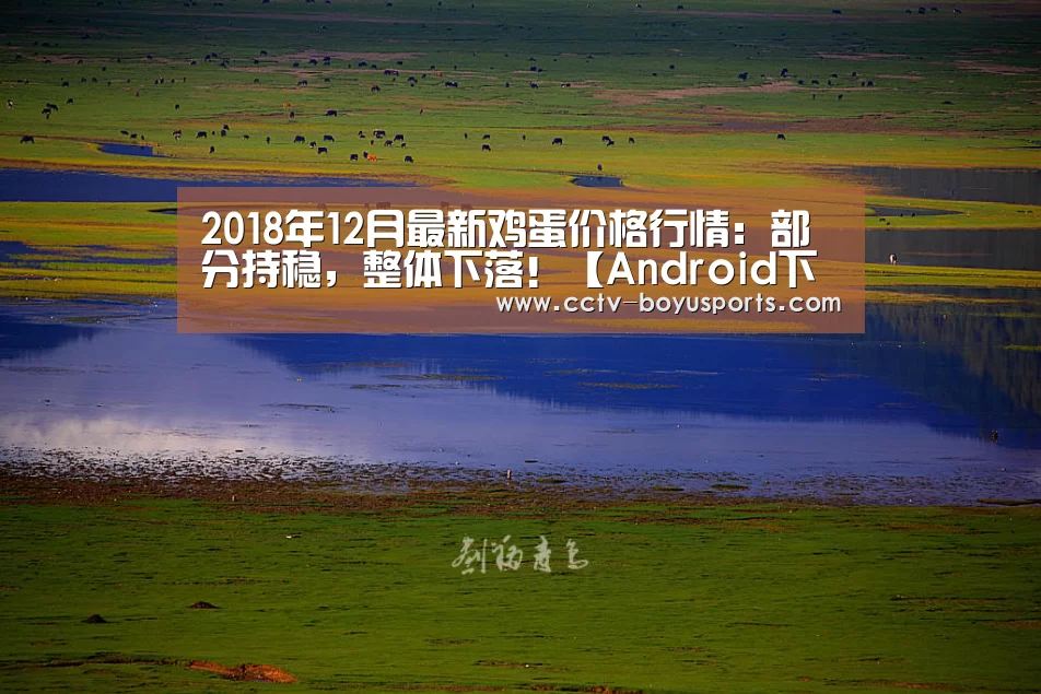 官方应用