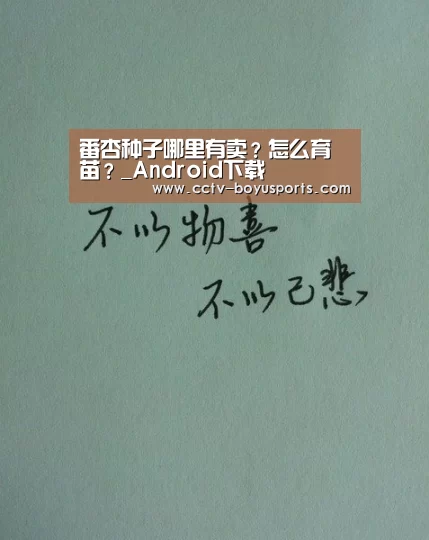 iOS下载