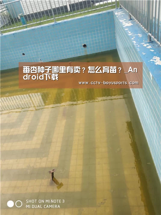 APP下载