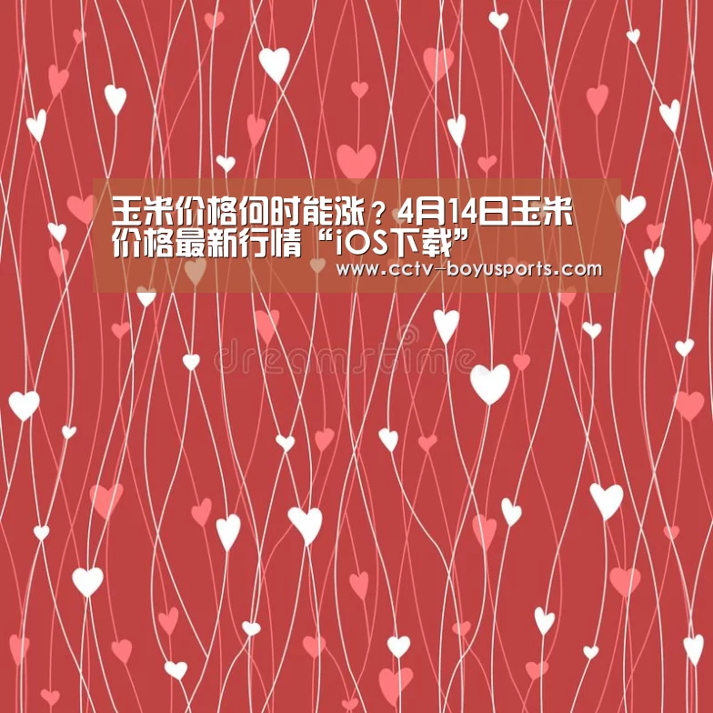 APP下载