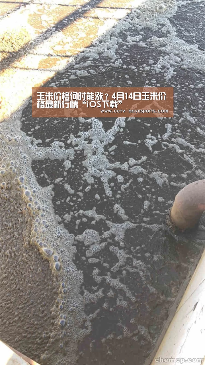 官方应用